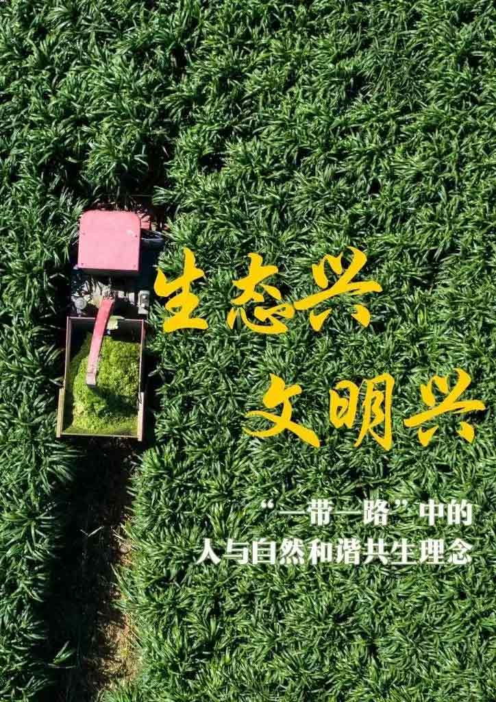 “一帶一路”高峰論壇丨生態興 文明興，“這是一條綠色可持續發展之路”