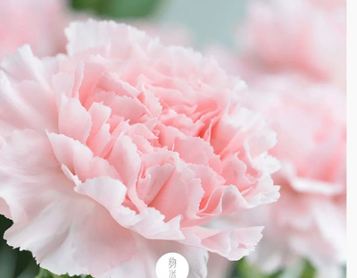 母親節(jié)蕞好的感恩在日常 