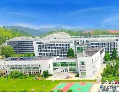 景旺電子科技（龍川）有限公司