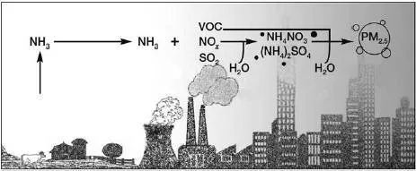 MVR/多效蒸發(fā)系統(tǒng)
